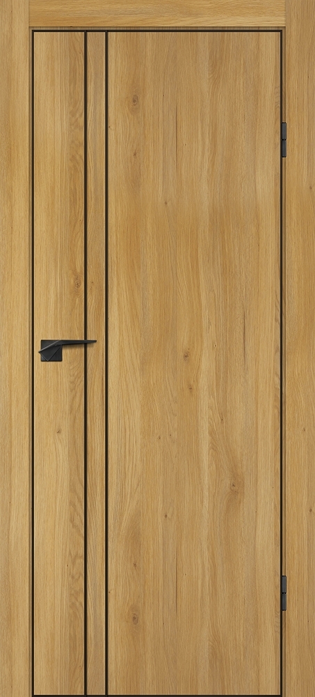 Фото Межкомнатная дверь P-20  черный молдинг PET,  кромка ABS черная c 4-х ст. Дуб золотистый